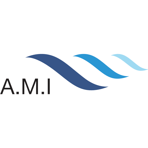 PT AMI