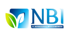 Pt Nbi